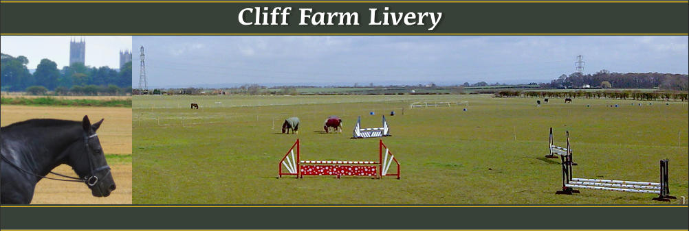 Cliff Farm Livery