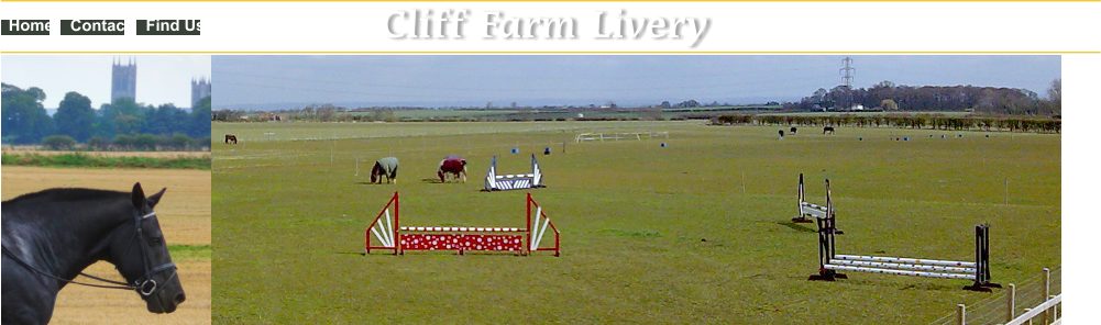 Cliff Farm Livery Tel: 07875 409004 Home Contact Find Us